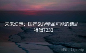 未来幻想：国产SUV精品可能的结局 · 特辑7233