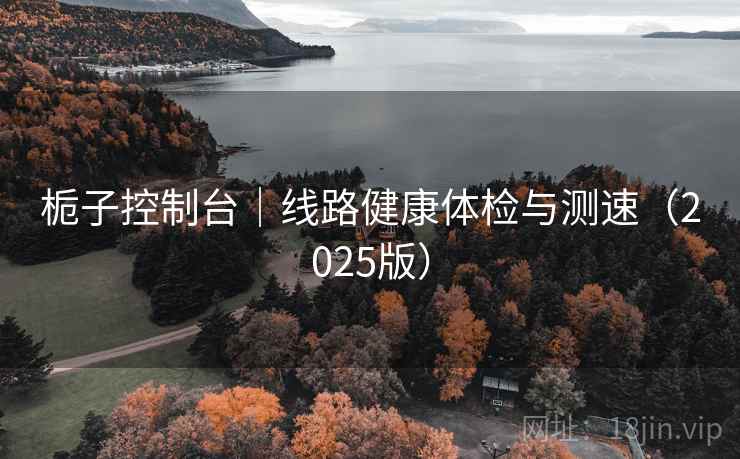 栀子控制台|线路健康体检与测速(2025版) 栀子控制台|线路健康体检与测速(2025版)